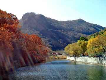 正版澳门天天开彩大全，手动注油器